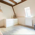 Les Boises A Kaysersberg+ 1 Place De Parking * Kaysersberg-Vignoble