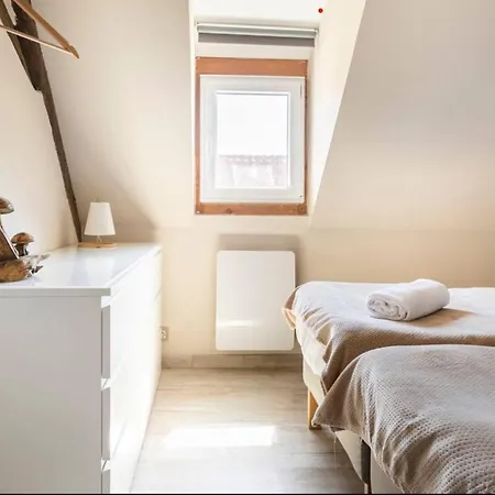 Les Boises A Kaysersberg+ 1 Place De Parking Appartement