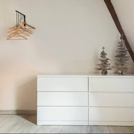 Les Boises A Kaysersberg+ 1 Place De Parking Appartement